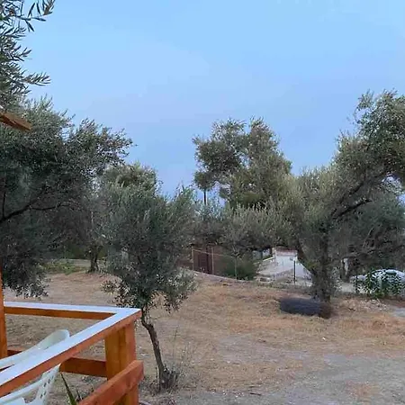 Bungalow-8 In Boyabag Bay