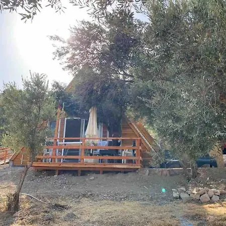 Bungalow-8 In Boyabag Bay Hébergement de vacances *