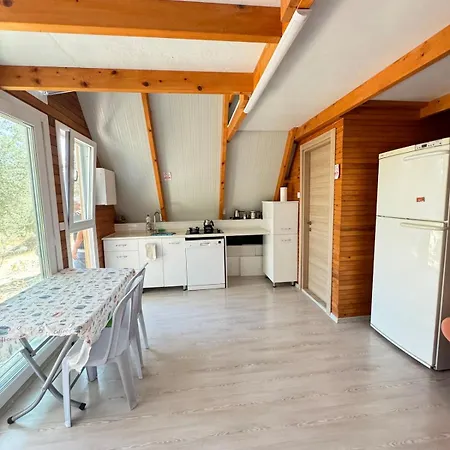 Bungalow-8 In Boyabag Bay *