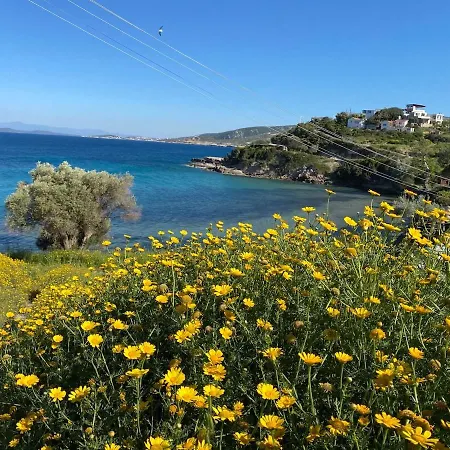 Bungalow-8 In Boyabag Bay Σπίτι διακοπών